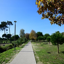 Imagem do Centro PARQUE URBANO DA COSTA DA CAPARICA